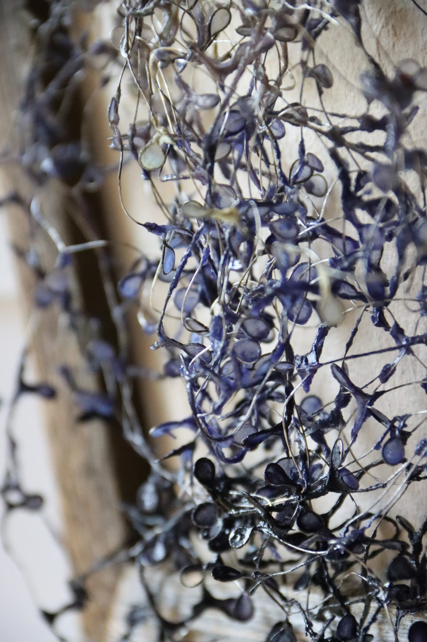 Blackened Vines