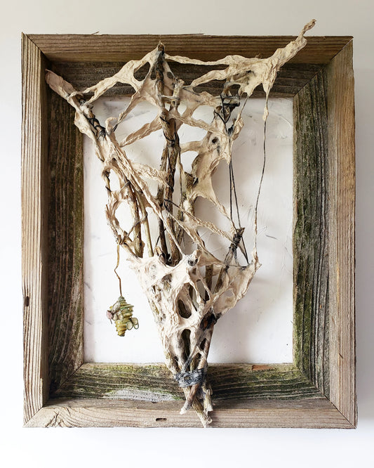 Habitation