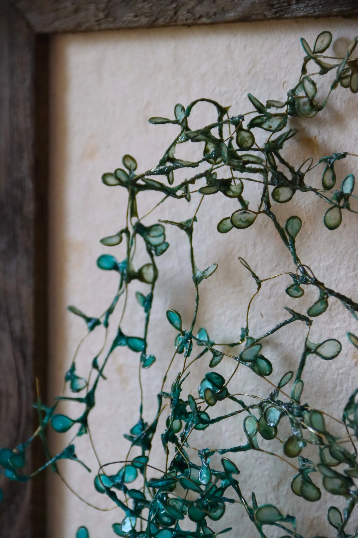 Thicket