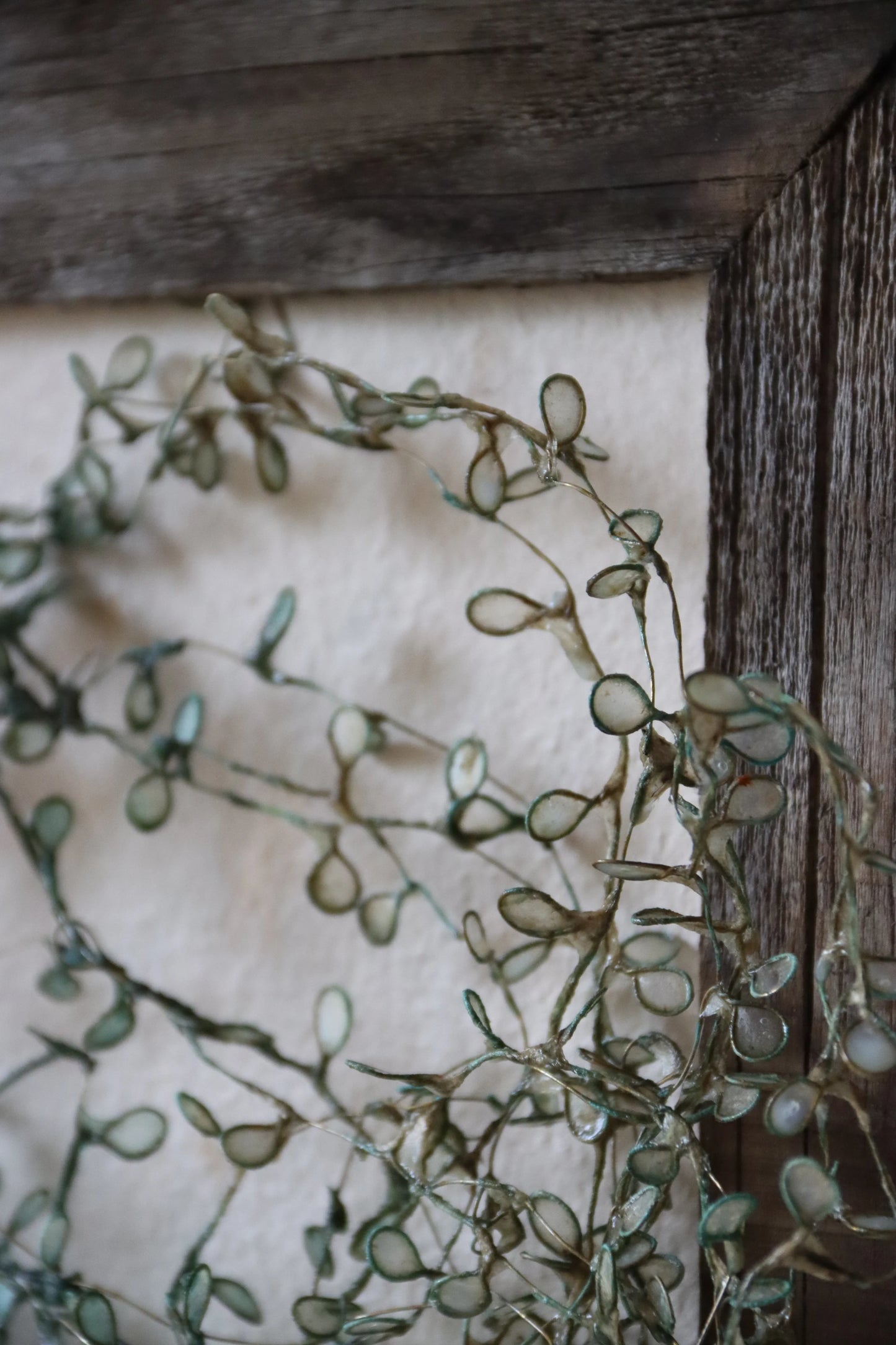 Thicket