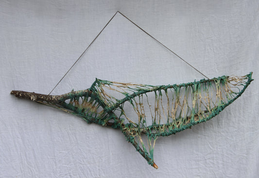 Grey Whale in a Kelp Forest