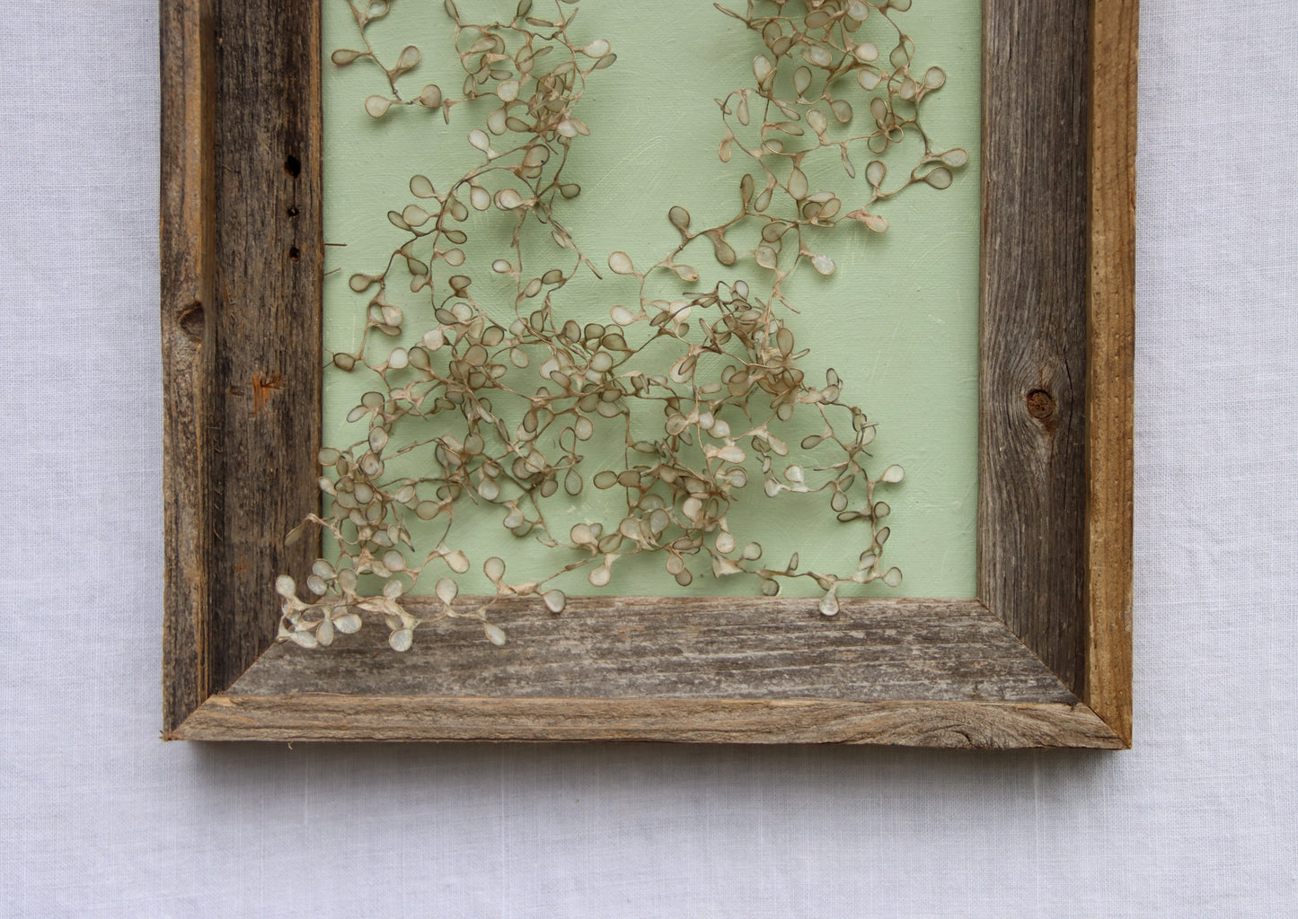 Thicket With Icy Vines
