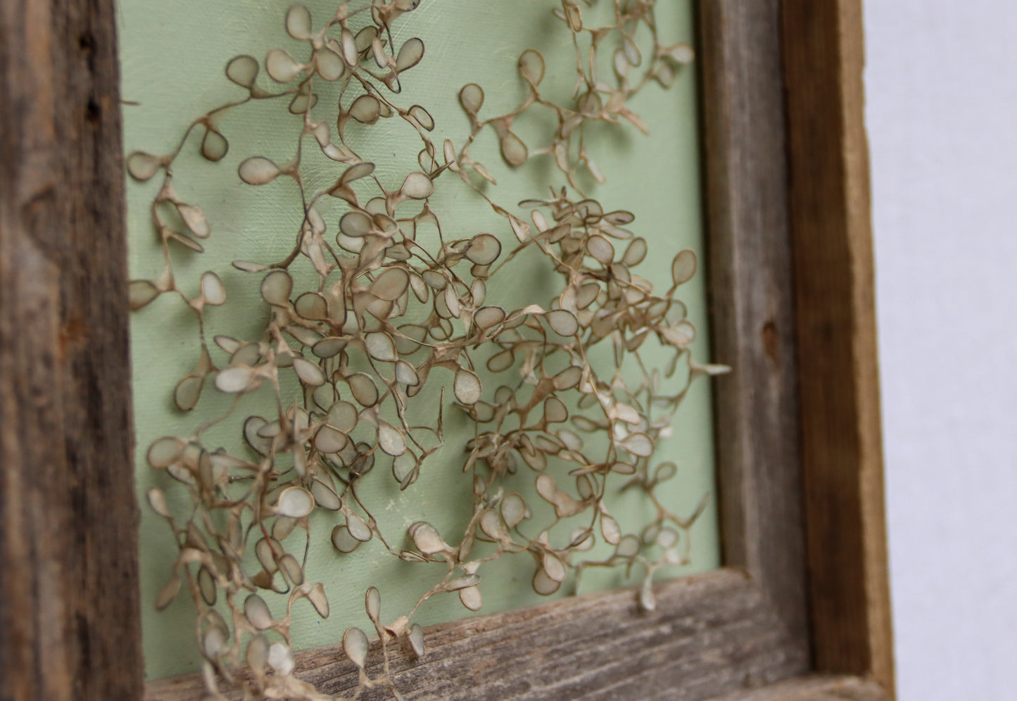Thicket With Icy Vines