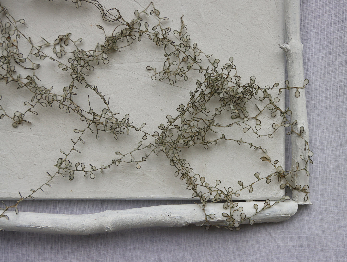 Beach Vines & Driftwood