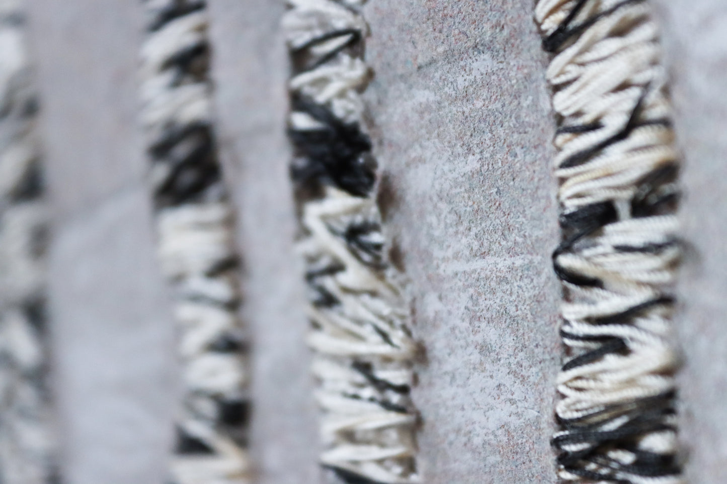 Birches in Deep Snow