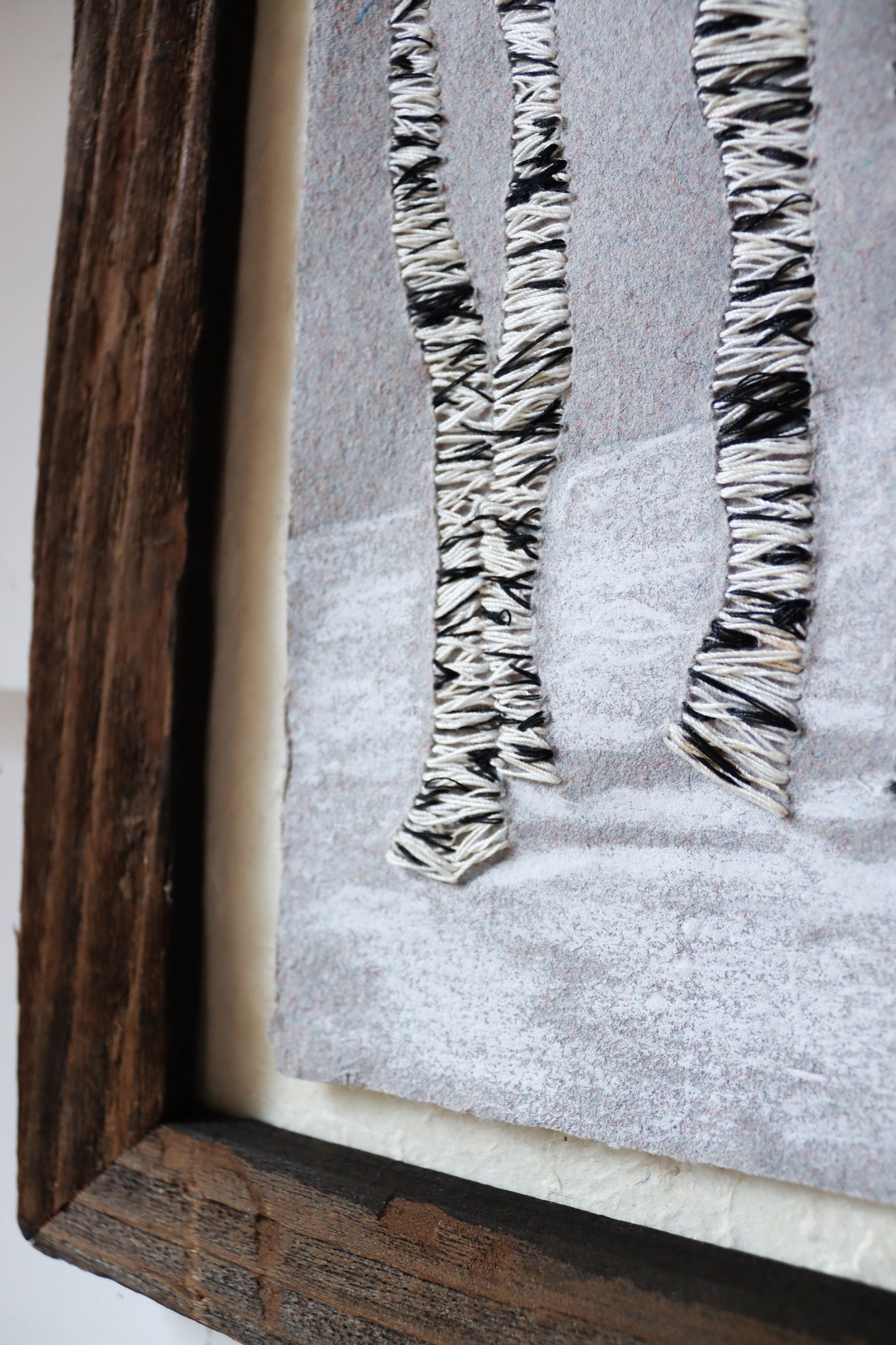 Birches in Deep Snow