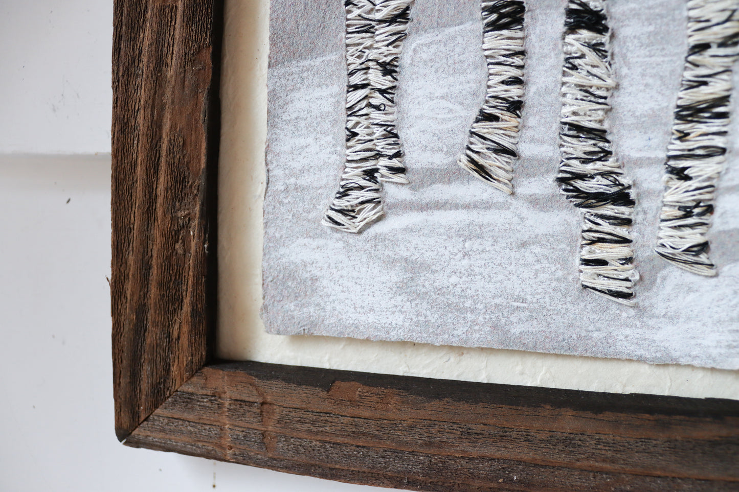 Birches in Deep Snow