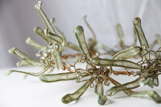 Lichen & Petal Crown