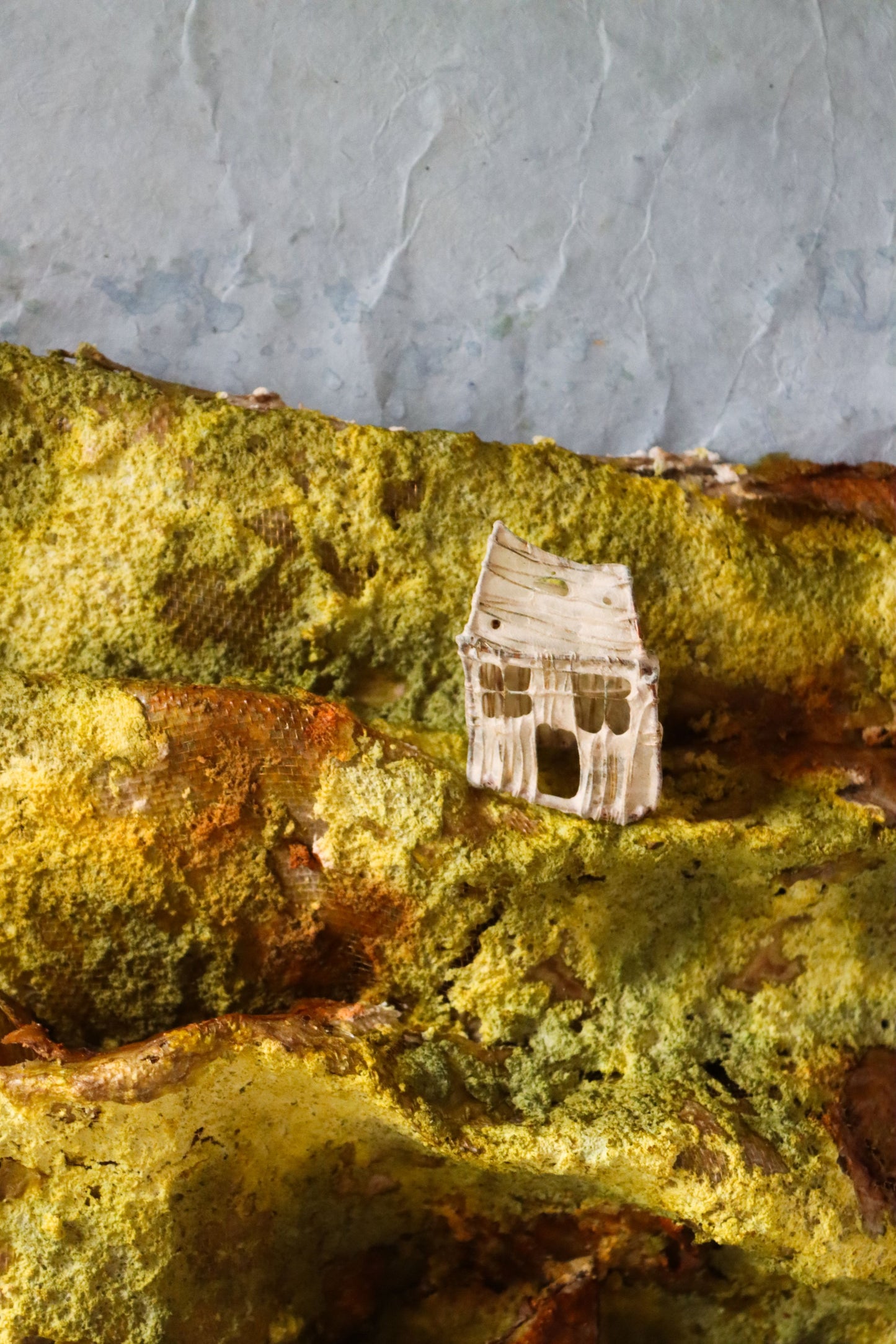 The Moss Nest
