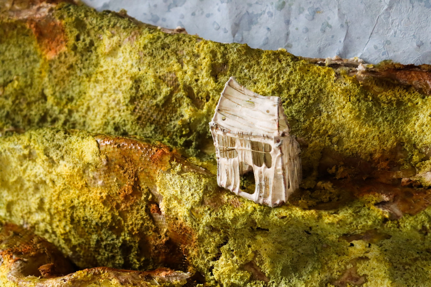 The Moss Nest