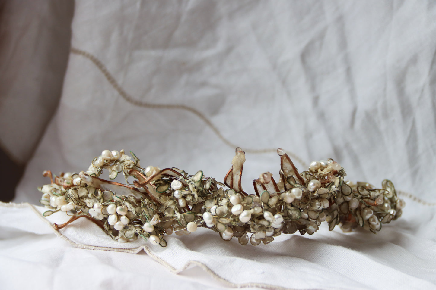 What Remains of Winter : Crown